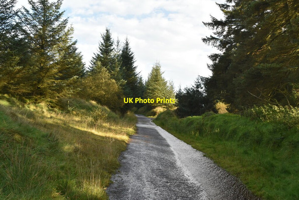 Photo 6"x4" Track to Altnaheglish Dam Dungiven c2021 P1