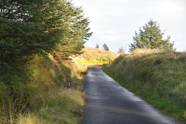 Photo 6"x4" Track to Altnaheglish Dam Dungiven c2021