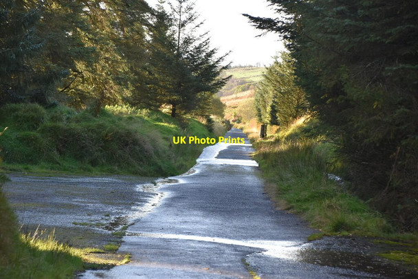 Photo 6"x4" Downhill from Altnaheglish Dam Dungiven c2021