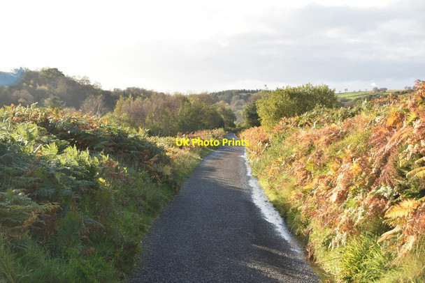 Photo 6"x4" Moorland above Banagher Glen Dungiven c2021