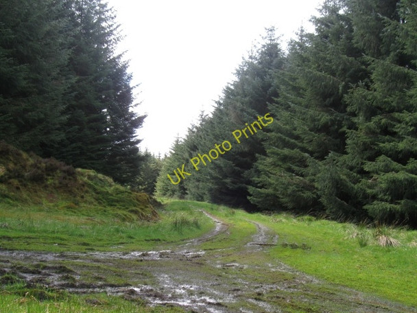 Photo 6"x4" Track & turning area at end of Forest access below Beinn Bh\u00c3\u00a0n Laggan\/NN2996 c2009