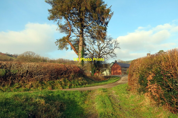 Photo 6"x4" Llwybr Bryn Marlais \/ Bryn Marlais path Llansadwrn\/SN6931 c2021