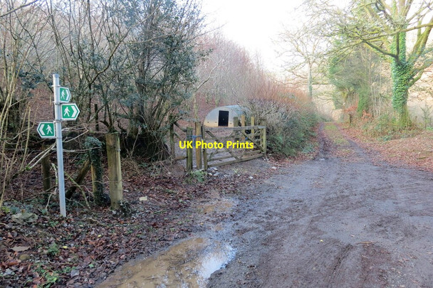 Photo 6"x4" Cyffordd tri llwybr \/ Junction of three paths Llansadwrn\/SN6931 c2021