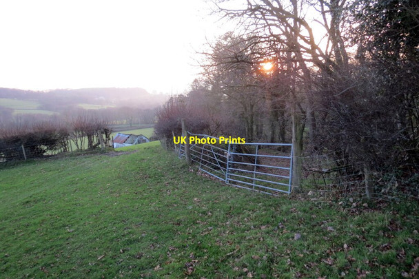 Photo 6"x4" Llwybr Cwm \/ Cwm path Talley c2021