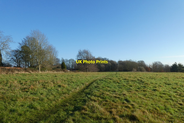 Photo 6"x4" Path to Siwards How York\/SE5951 c2021
