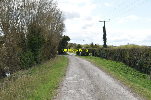 Photo 6"x4" Track to Maytham Wharf Farm Potman's Heath c2021