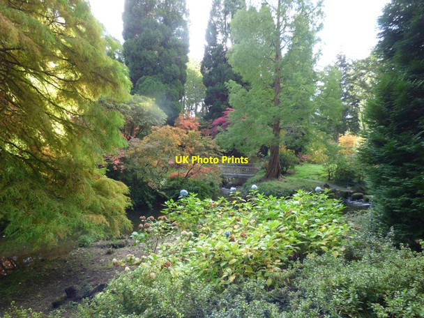 Photo 6"x4" Bridge over the river Tal-y-cafn c2017