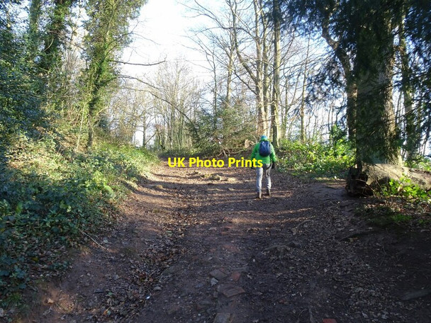 Photo 6"x4" Path to Baggeridge Sedgley c2021