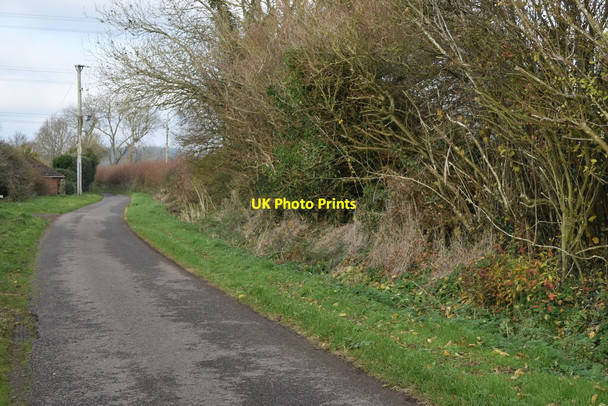 Photo 6"x4" Flood Street, looking towards Peasash Farm Fordingbridge c2021