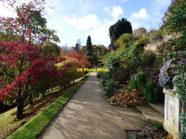 Photo 6"x4" Herbaceous border and Acers Welshpool\/Y Trallwng c2017