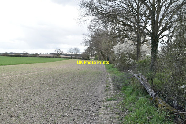 Photo 6"x4" Diverted path and headland strip Newenden c2021