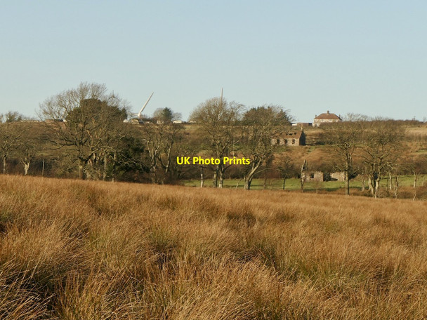 Photo 6"x4" Newbigging and Rossfield Houndwood c2021