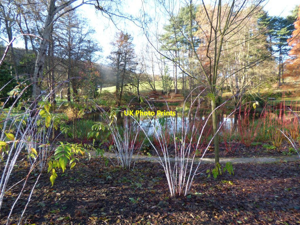 Photo 6"x4" The Ice skating pool Bodnant Garden Tal-y-cafn c2017