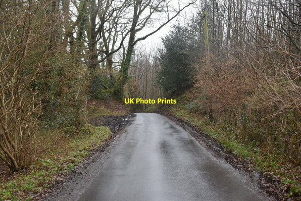 Photo 6"x4" Churchsettle Lane Bardown c2021 P2