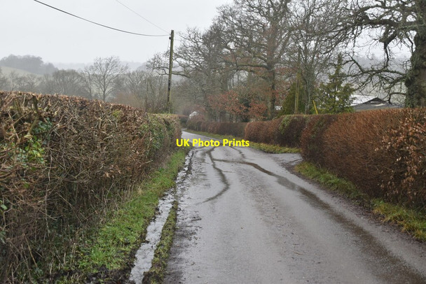 Photo 6"x4" Churchsettle Lane Shover's Green c2021 P1