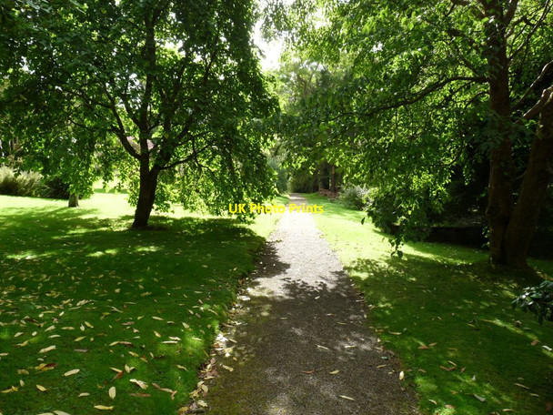 Photo 6"x4" Path from the steps down the right hand side of the garden Bangor\/SH5771 c2014