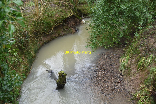 Photo 6"x4" Tributary stream of Tide Brook Combe\/TQ6228 c2021 P1