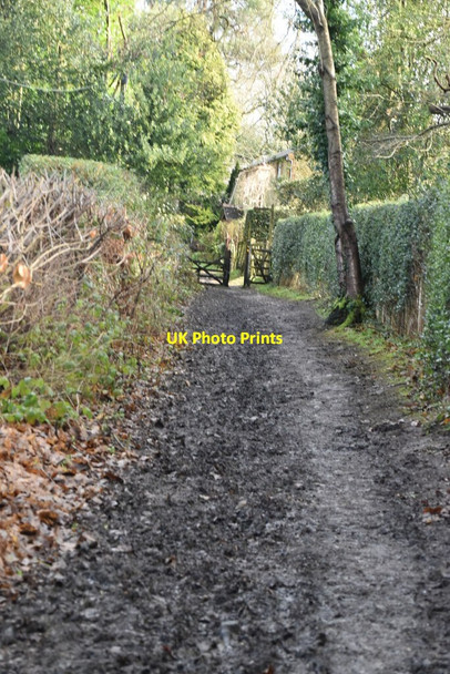Photo 6"x4" Greensand Way Pains Hill\/TQ4151 c2021