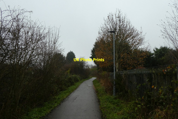 Photo 6"x4" Path towards Melrosegate Heslington c2021