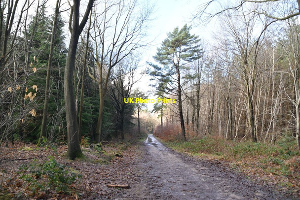Photo 6"x4" Greensand Way, High Chart Goodley Stock c2021