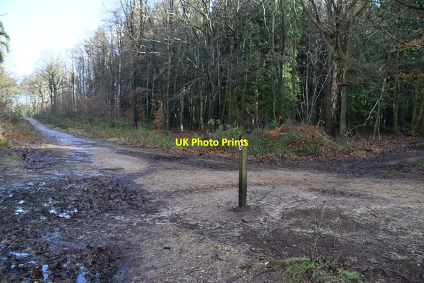 Photo 6"x4" Track junction, The High Chart Goodley Stock c2021