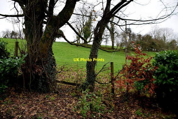 Photo 6"x4" Kilmore Townland Mountjoy\/H4277 c2021