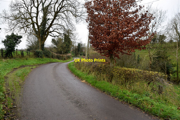 Photo 6"x4" Bend along Dunwish Road Mountjoy\/H4277 c2021