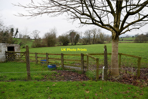 Photo 6"x4" Dunwish Townland Mountjoy\/H4277 c2021