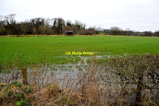 Photo 6"x4" Wet ground, Dunwish Mountjoy\/H4277 c2021