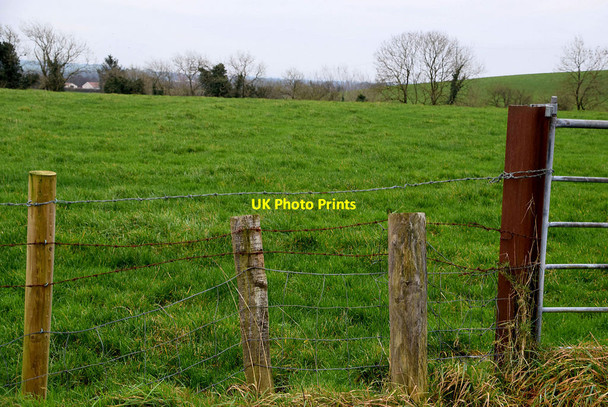 Photo 6"x4" Kilmore Townland Mountjoy\/H4277 c2021