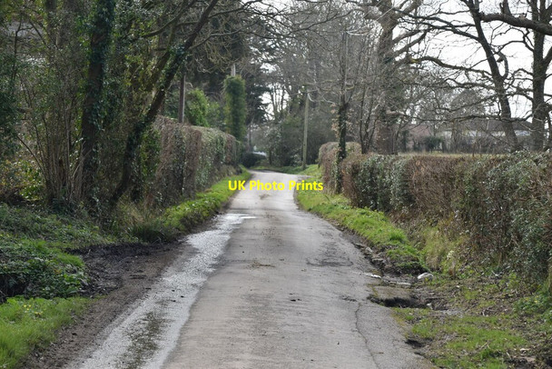 Photo 6"x4" Swife Lane Burwash Common c2021 P1