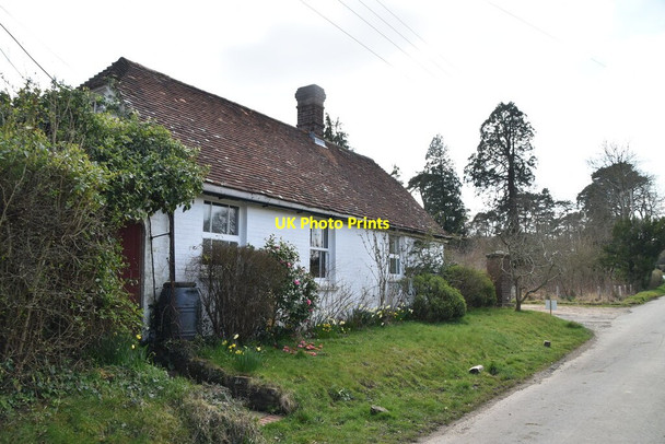 Photo 6"x4" Whytewood Cottage Burwash Common c2021