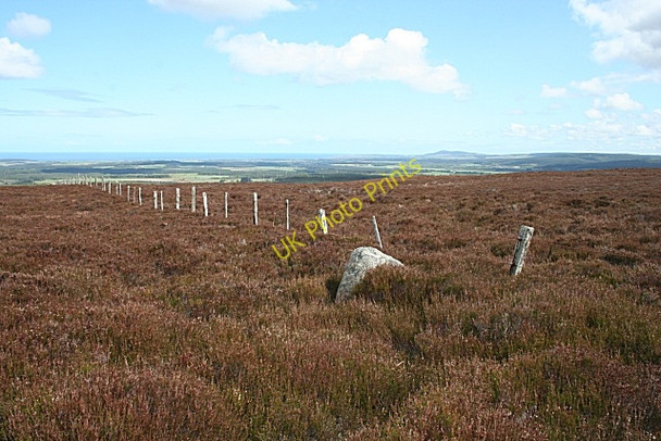 Photo 6"x4" Brown Muir Clackmarras c2009 P1