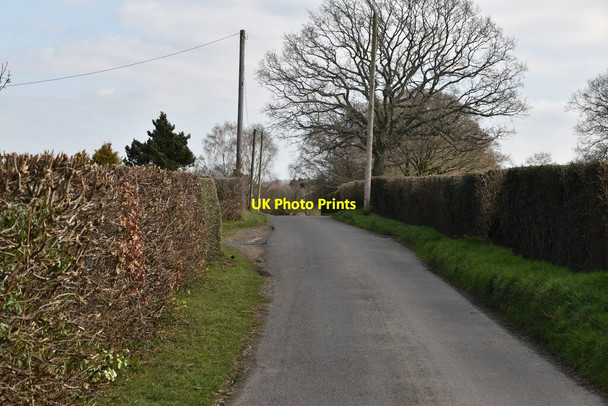 Photo 6"x4" Springhall Lane Burwash Common c2021