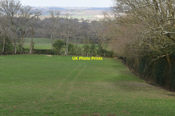 Photo 6"x4" Field and boundary Burwash Common c2021