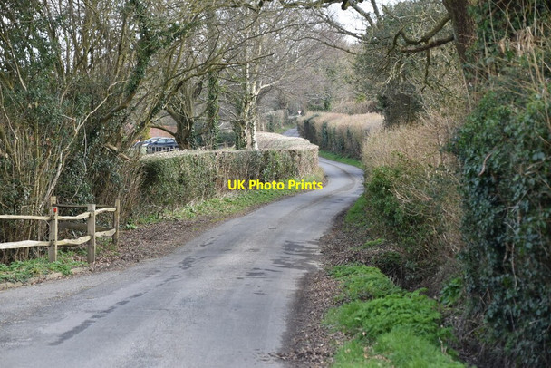 Photo 6"x4" Springhall Lane Burwash Common c2021