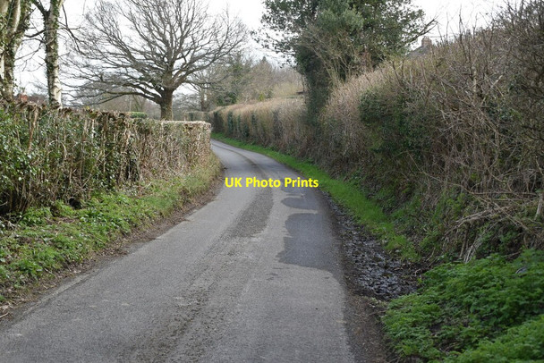 Photo 6"x4" Springhall Lane Burwash Common c2021 P1