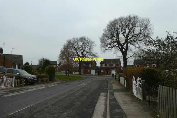 Photo 6"x4" Woodfield Road Harrogate c2021