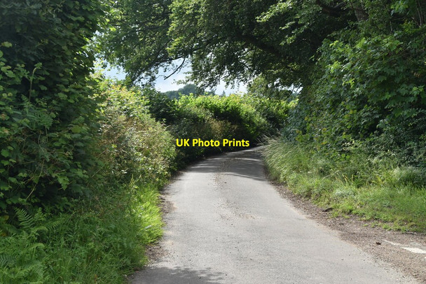 Photo 6"x4" Road to Parmoor Chisbridge Cross c2021