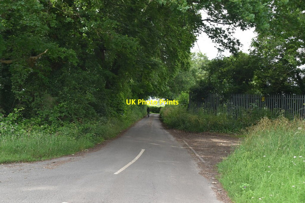 Photo 6"x4" Road to Moor End Chisbridge Cross c2021