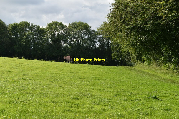 Photo 6"x4" Edge of Moorend Wood Moor Common c2021