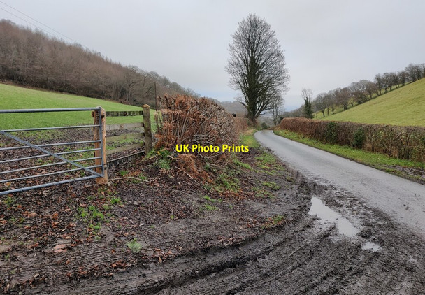 Photo 6"x4" Lane near Dolforwyn Castle Abermule\/Aber-miwl c2021