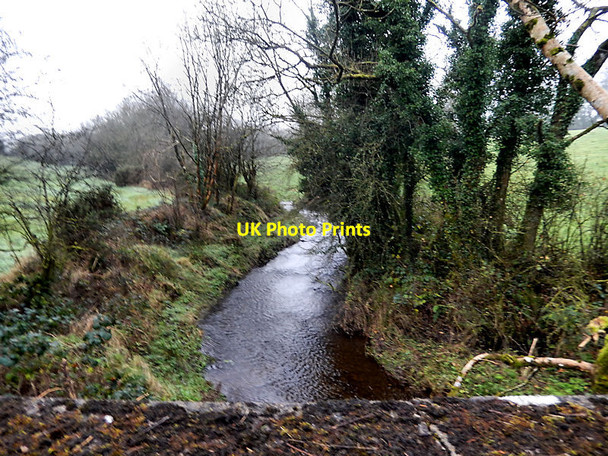 Photo 6"x4" Stream and Hedgerow The Butts\/S6269 c2021