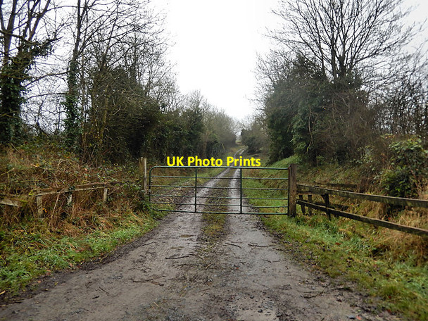 Photo 6"x4" Gate and Lane The Butts\/S6269 c2021