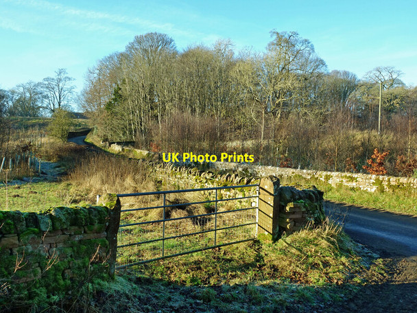 Photo 6"x4" Towards Beckbank Salkeld Dykes c2021