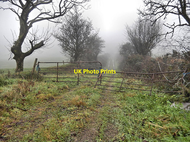 Photo 6"x4" Misty Farm Lane The Butts\/S6269 c2021