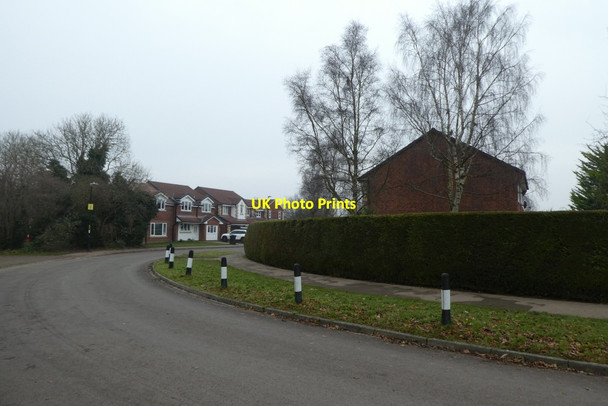 Photo 6"x4" Hell Wath Grove Ripon c2021