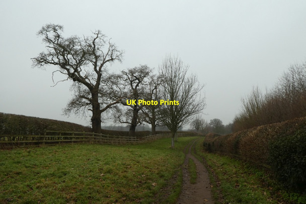 Photo 6"x4" Bridleway to Studley Road Ripon c2021