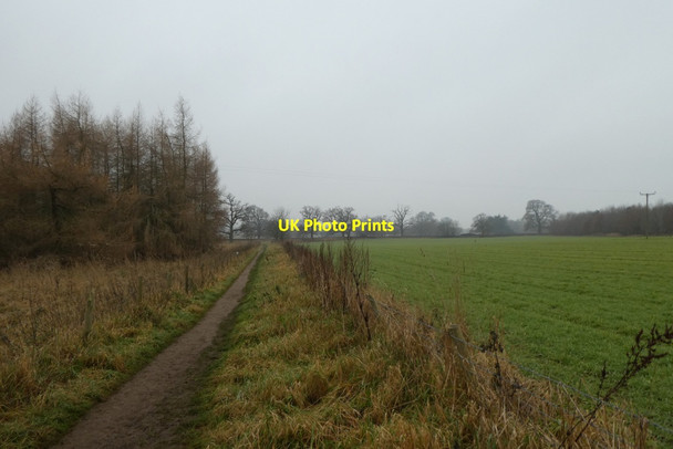 Photo 6"x4" Path west of Studley Roger Studley Roger c2021