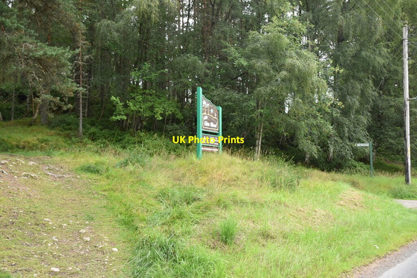 Photo 6"x4" Ellan Wood Carrbridge \/ Drochaid Ch\u00e0rr c2021 P1
